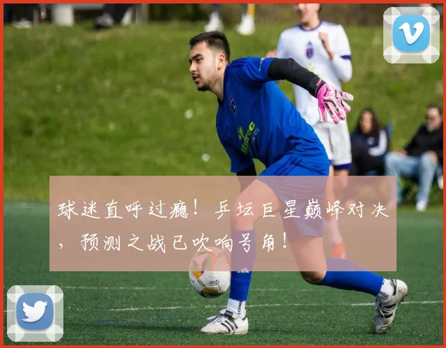 球迷直呼过瘾！乒坛巨星巅峰对决，预测之战已吹响号角！